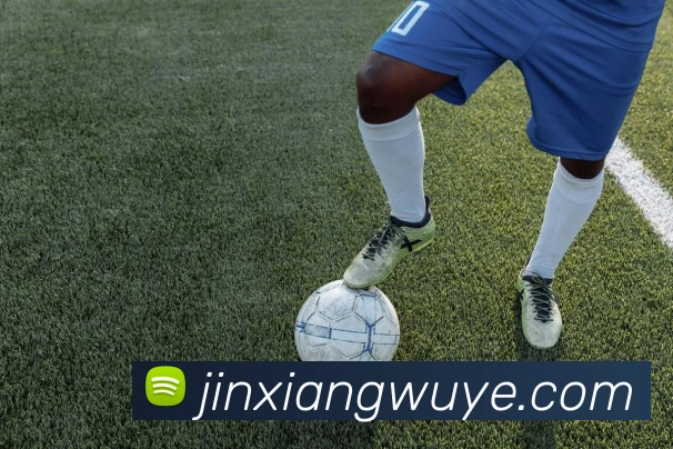 巴西世界杯：赛事回顾与经典瞬间全解析